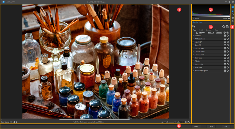ACDSee RAW Interface