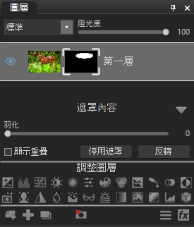使用包含圖層的遮罩